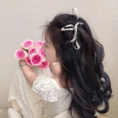 偷天盗日 海报
