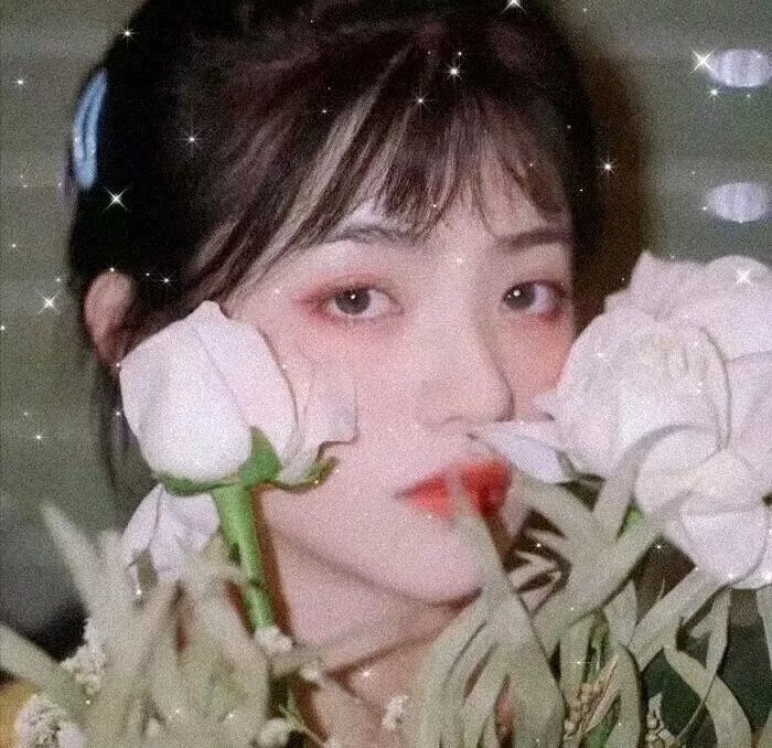 女子当参政 海报