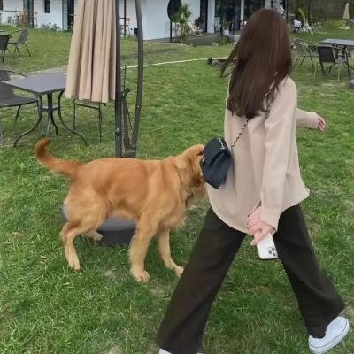 东北恋哥 剧照
